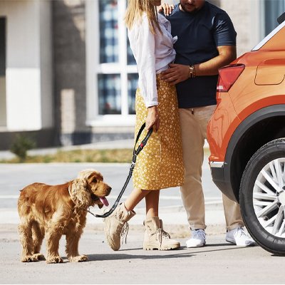 Ceinture de sécurité pour chien | VoyagSecur