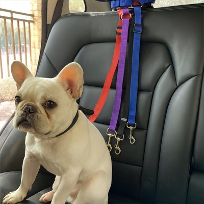 Ceinture de sécurité pour chien | TravelSafe
