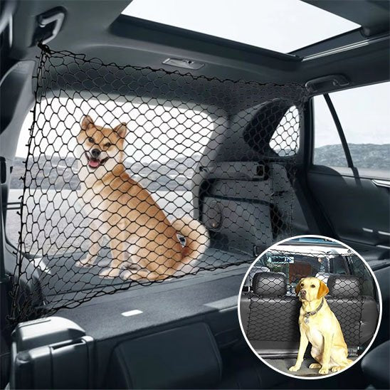 Filet de Protection pour Chien