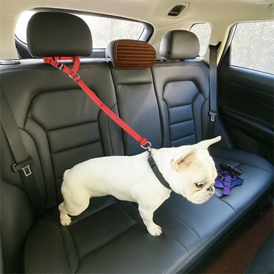 Ceinture de sécurité pour chien | TravelSafe
