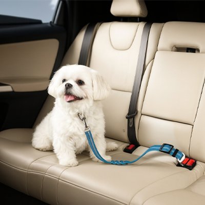Ceinture de sécurité pour chien | SafeDrive