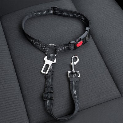Ceinture de sécurité pour chien | VoyagSecur