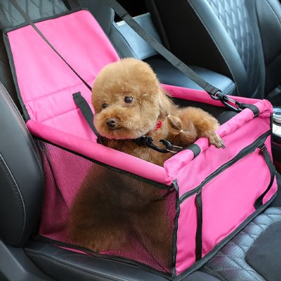 Siege auto chien | Comfort Plus