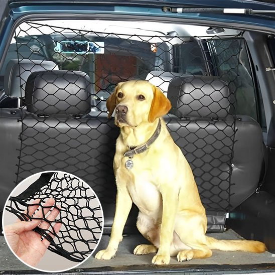 Filet de Protection pour Chien