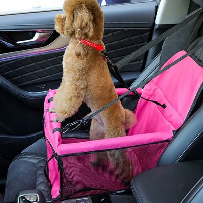 Siege auto chien | Comfort Plus