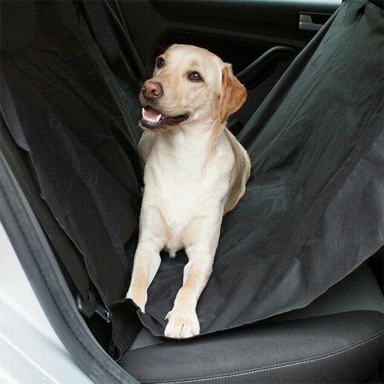 Protection voiture chien | Imperméable