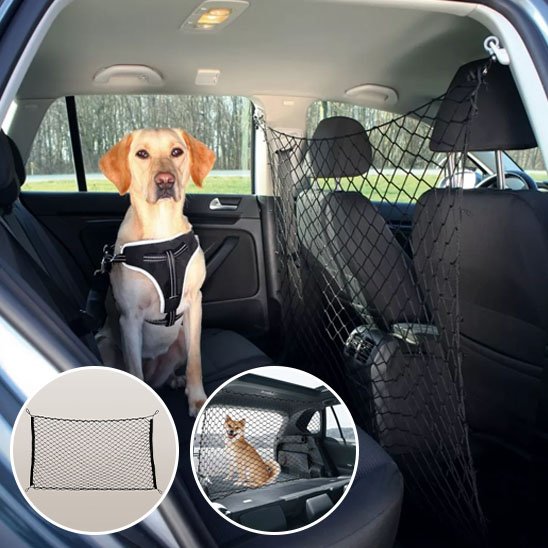 Filet de Protection pour Chien