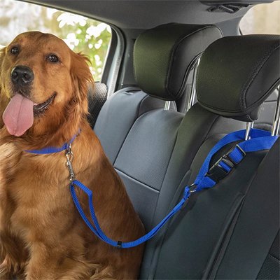 Ceinture de sécurité pour chien | TravelSafe