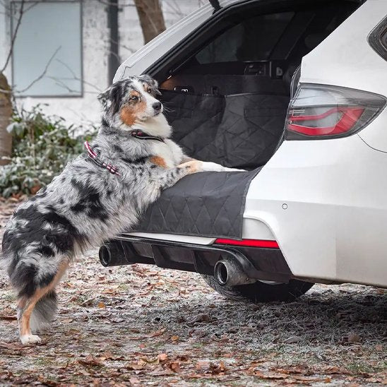 Tapis de coffre voiture | Premium Imperméable