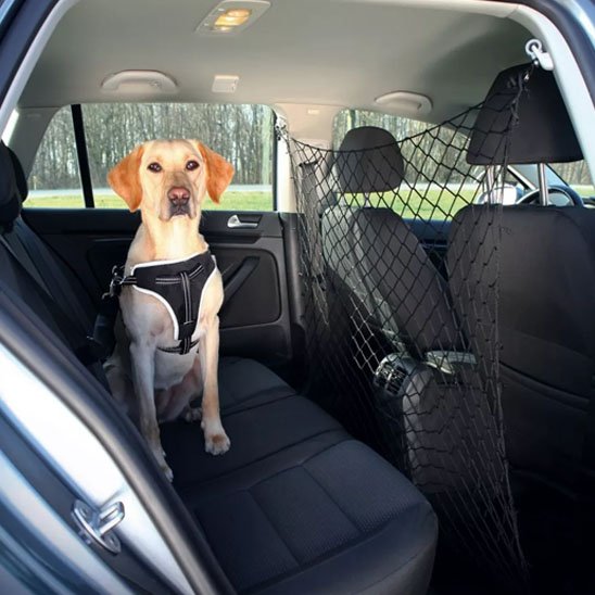 Filet de Protection pour Chien