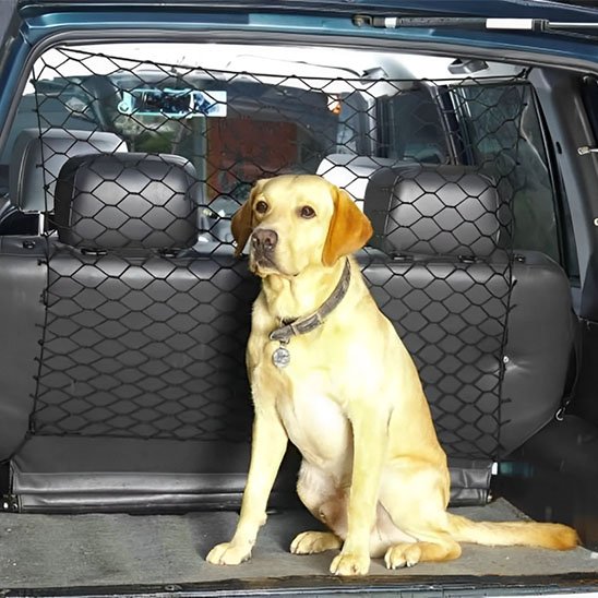 Filet de Protection pour Chien