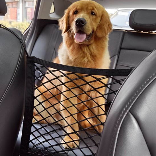 Filet de voiture pour chien | SecuriDrive