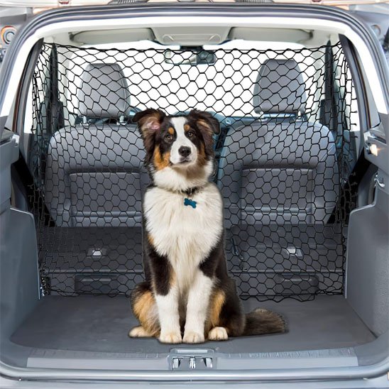 Filet de Protection pour Chien