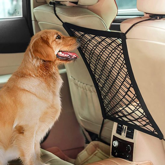 Filet de voiture pour chien | SecuriDrive