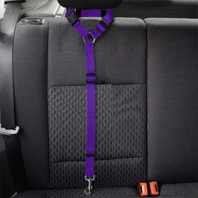 Ceinture de sécurité pour chien | TravelSafe
