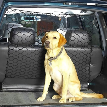 Filet de Protection pour Chien