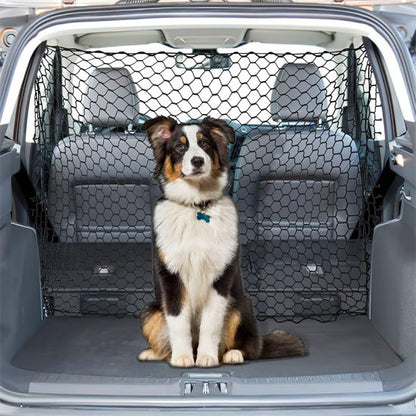 Filet de Protection pour Chien